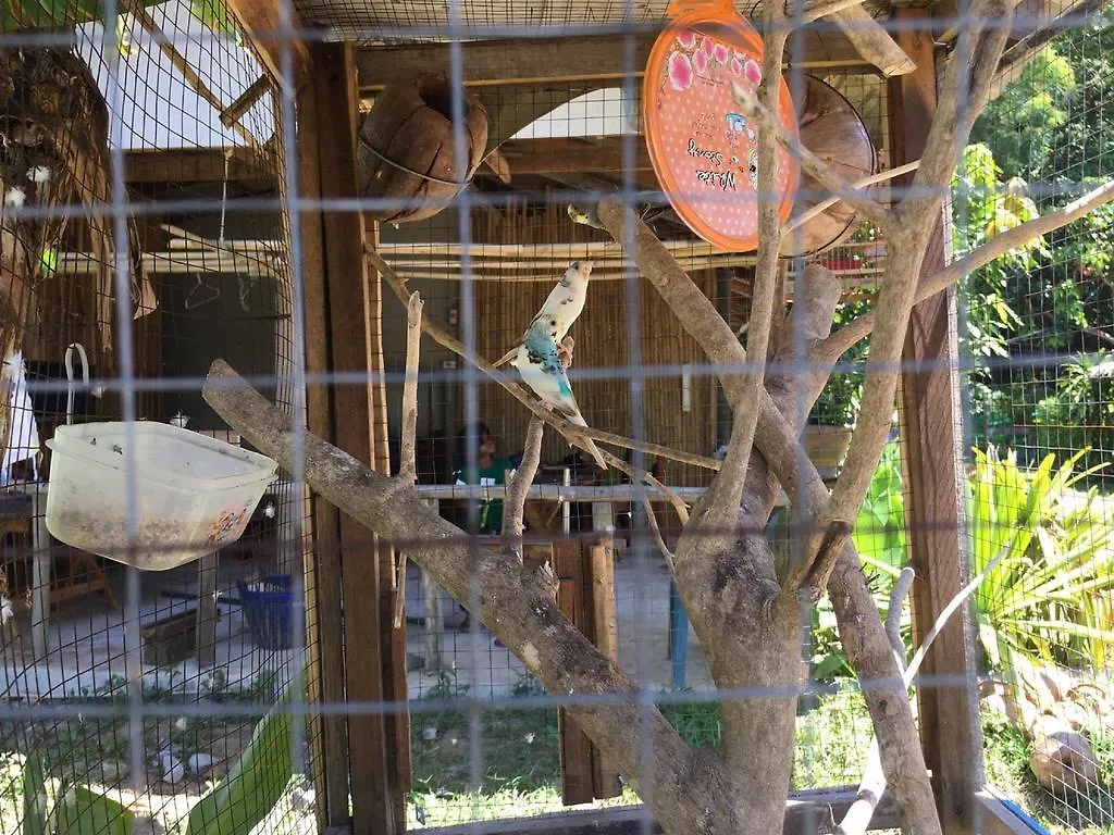 Klong Khong Garden Guest House Koh Lanta Thailand