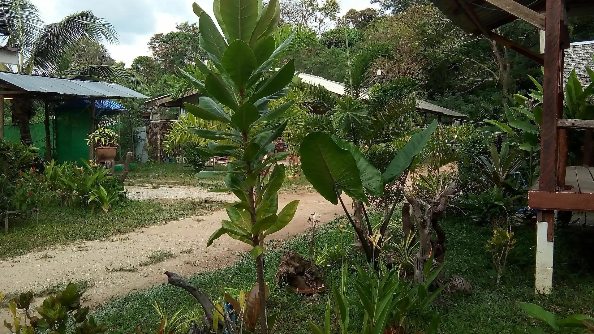 Klong Khong Garden Guest House Koh Lanta Thailand