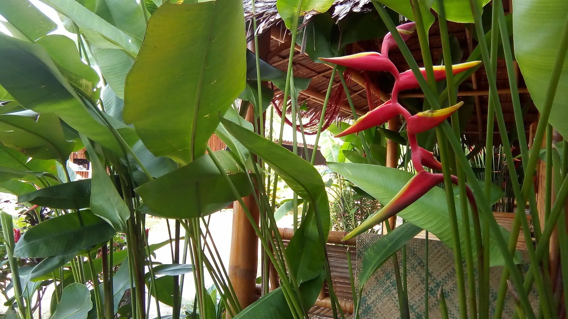 Klong Khong Garden Guest House Koh Lanta