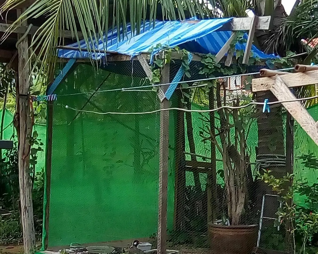 Klong Khong Garden Guest House Koh Lanta